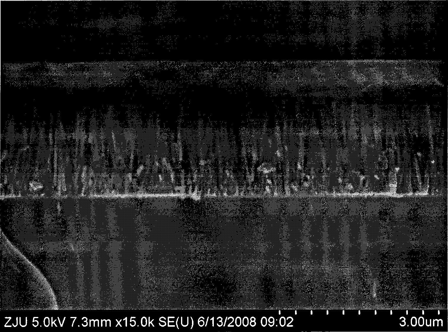 Method for growing ZnO nano-wire array on flexible substrate