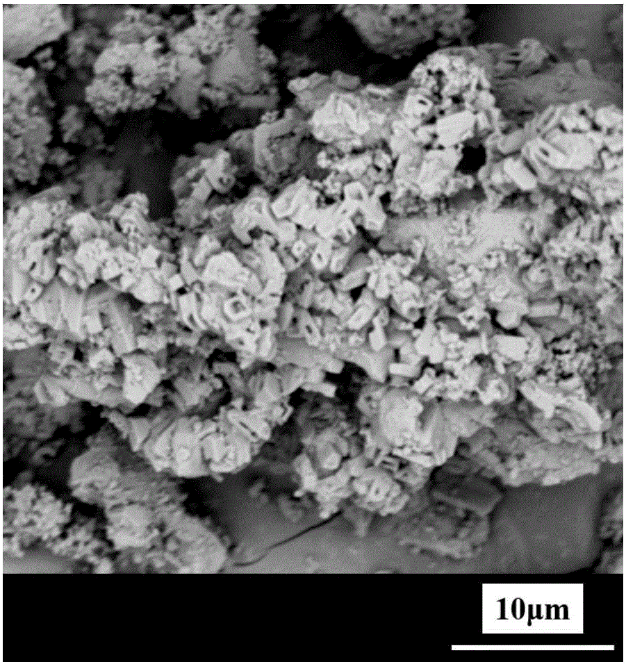 Method for microwave synthesis of ZSM-5 molecular sieve through illite