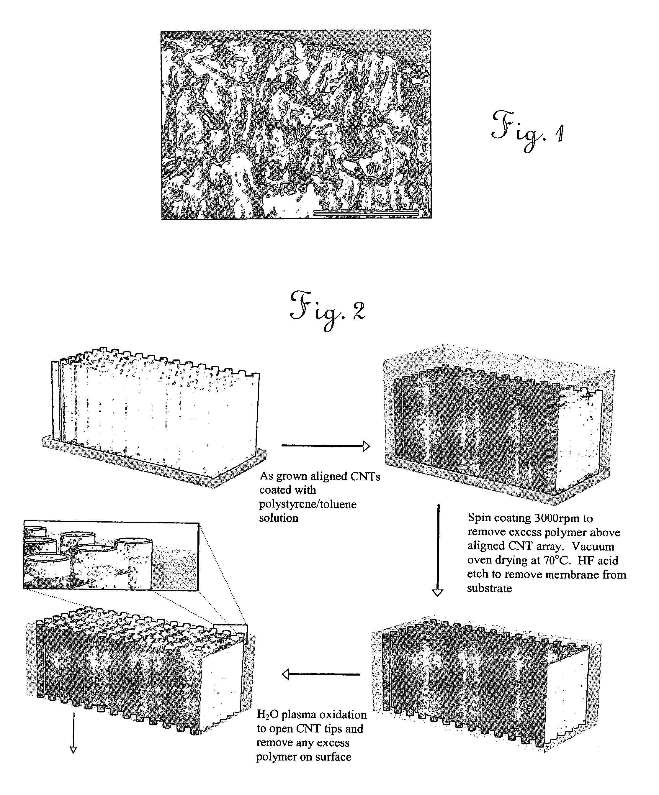 Aligned nanotubule membranes