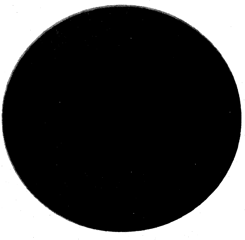 Method for preparing iron aluminum intermetallic compound homogenizing cellular material by utilizing powder raw materials