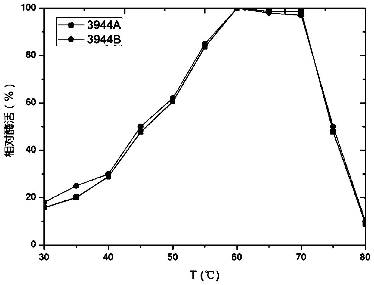 Aspergillus niger strain with high rhamnosidase yield