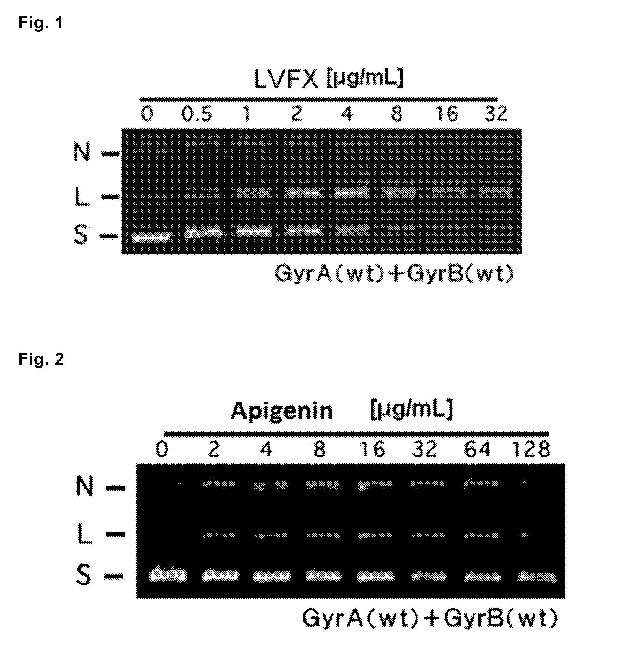 Antibacterial agent