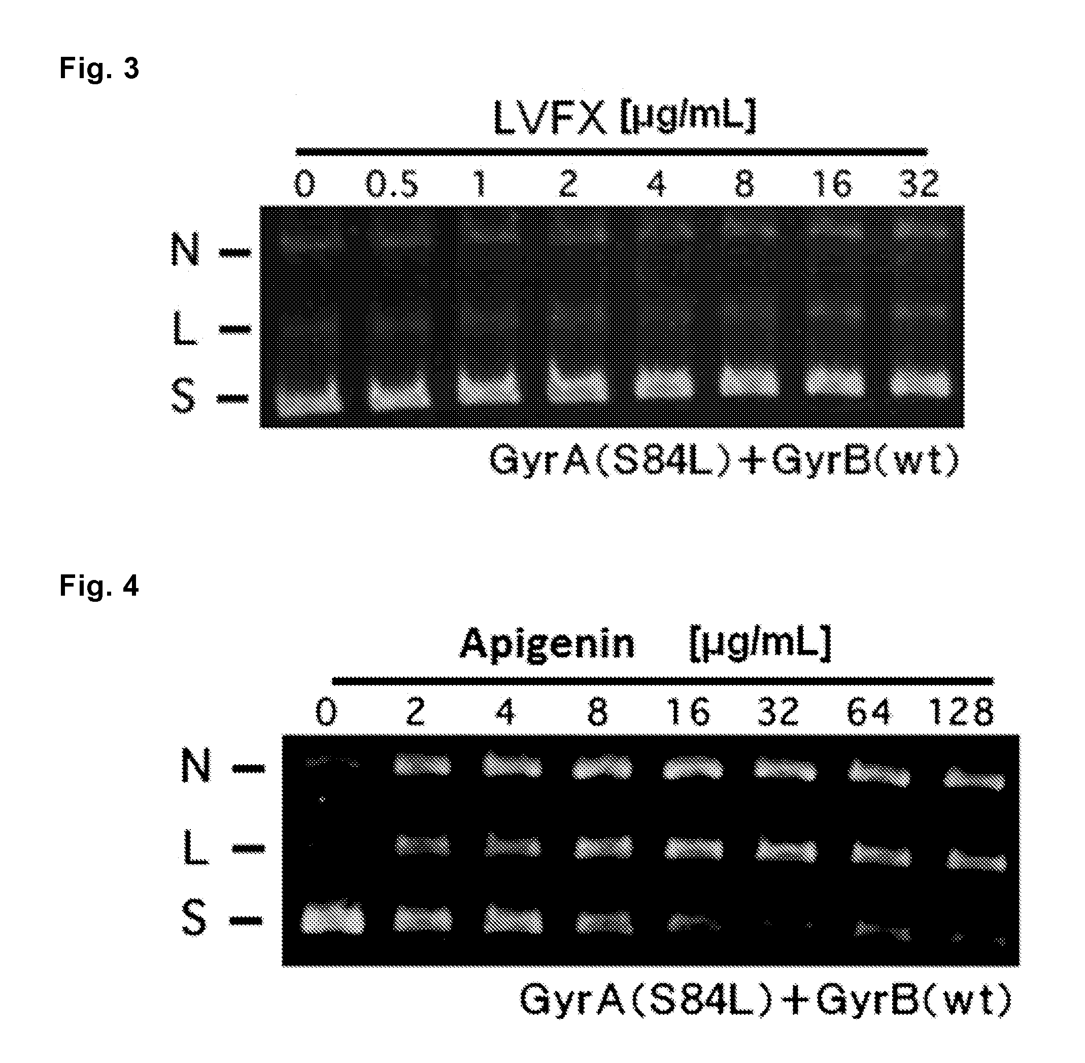 Antibacterial agent