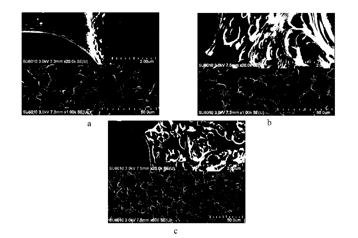 Graphene oxide-hydrogel composite drug carrier