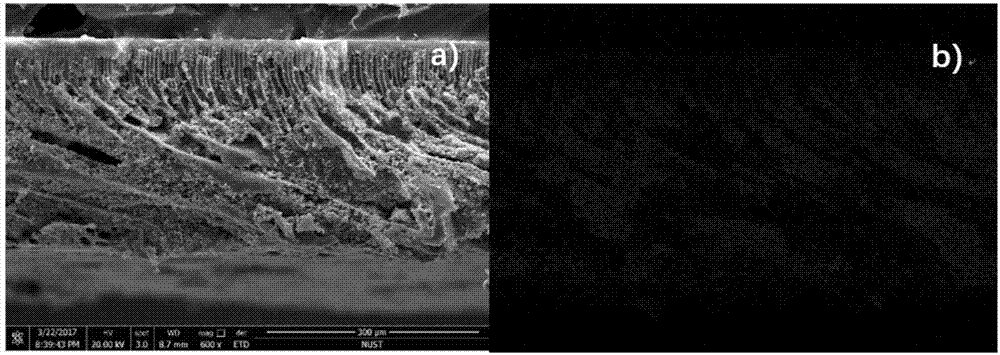 Ultrafiltration/adsorption bi-functional film and preparation method thereof