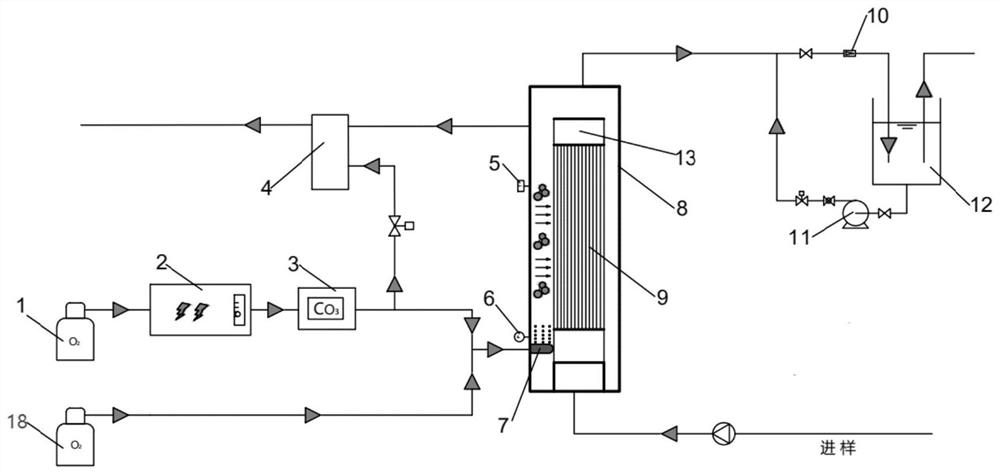 Drinking water ozone oxidation device and process with low NDMA generation