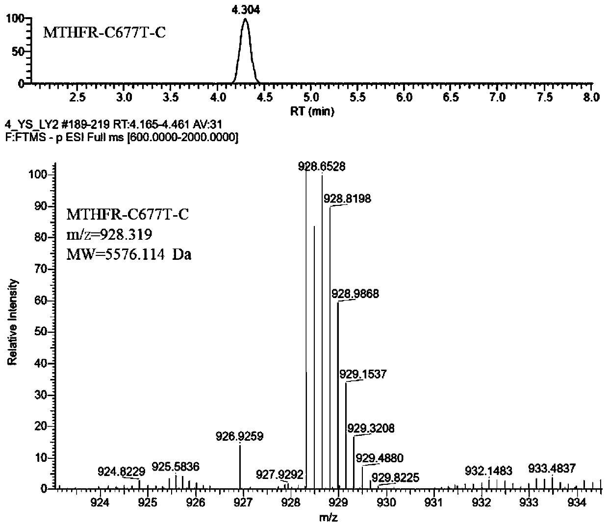 Method for detecting polymorphism of folate metabolism-related genes