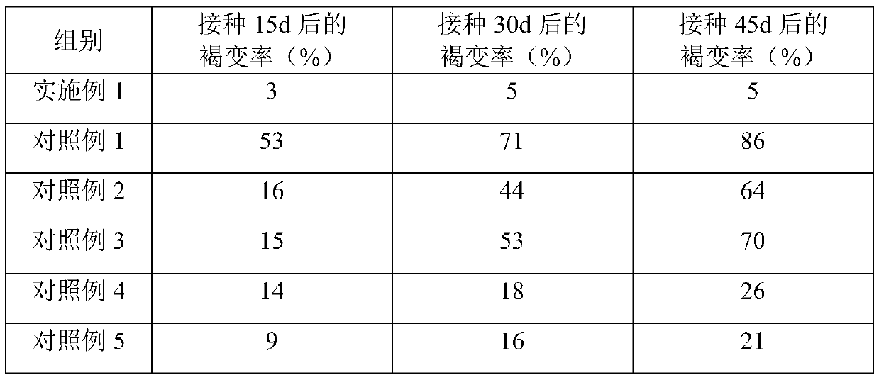 Tissue culture method of cymbidium hybridum