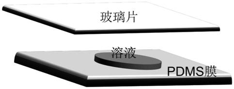 Method for visualizing complex magnetic field