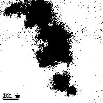 Method for preparing folic acid coupled chitosan-hydrochloric acid mitoxantrone nano-particle