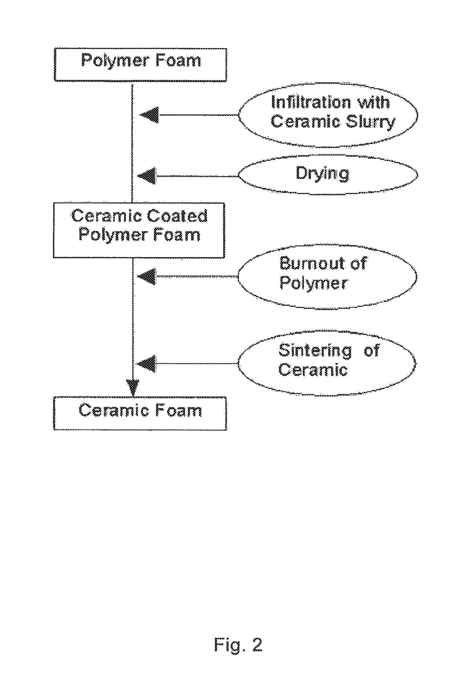 Metal Oxide Scaffolds