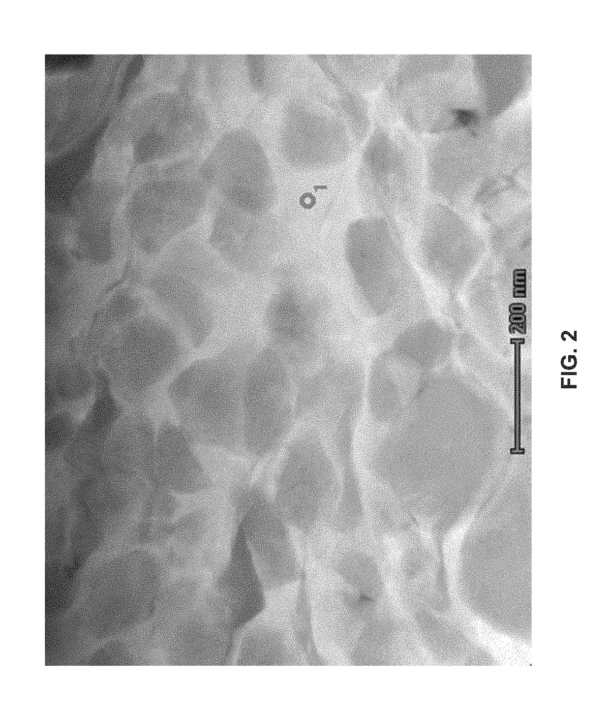 Titanium alloys for biomedical applications and fabrication methods thereof