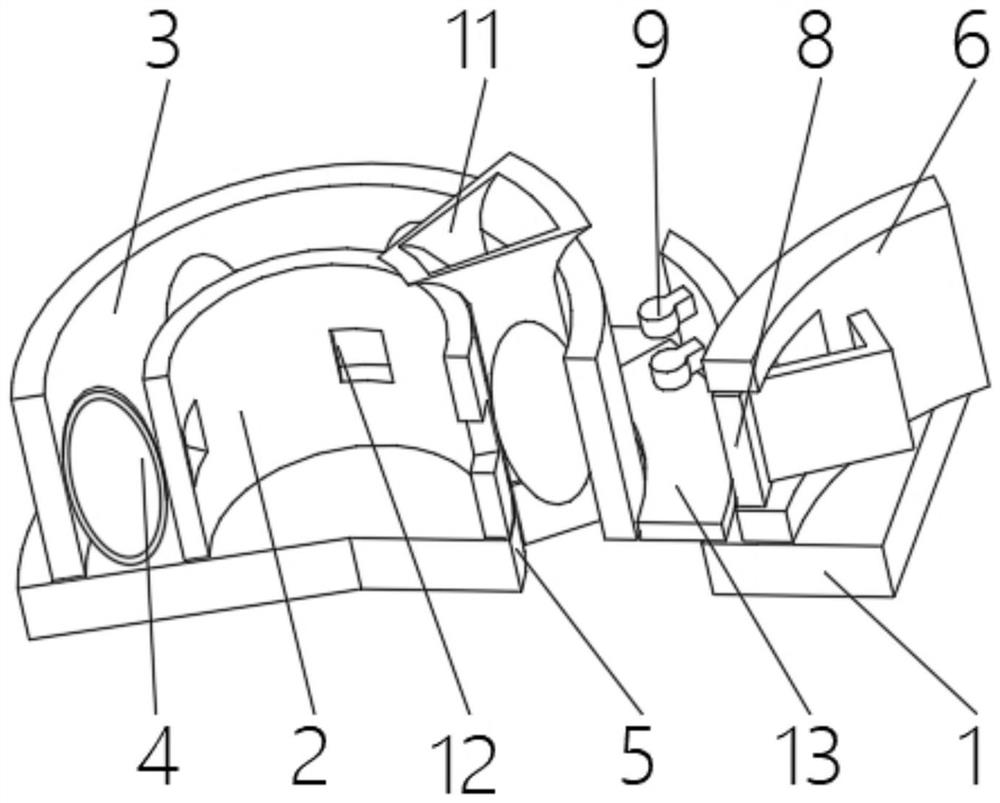 Water area organism volume screening device