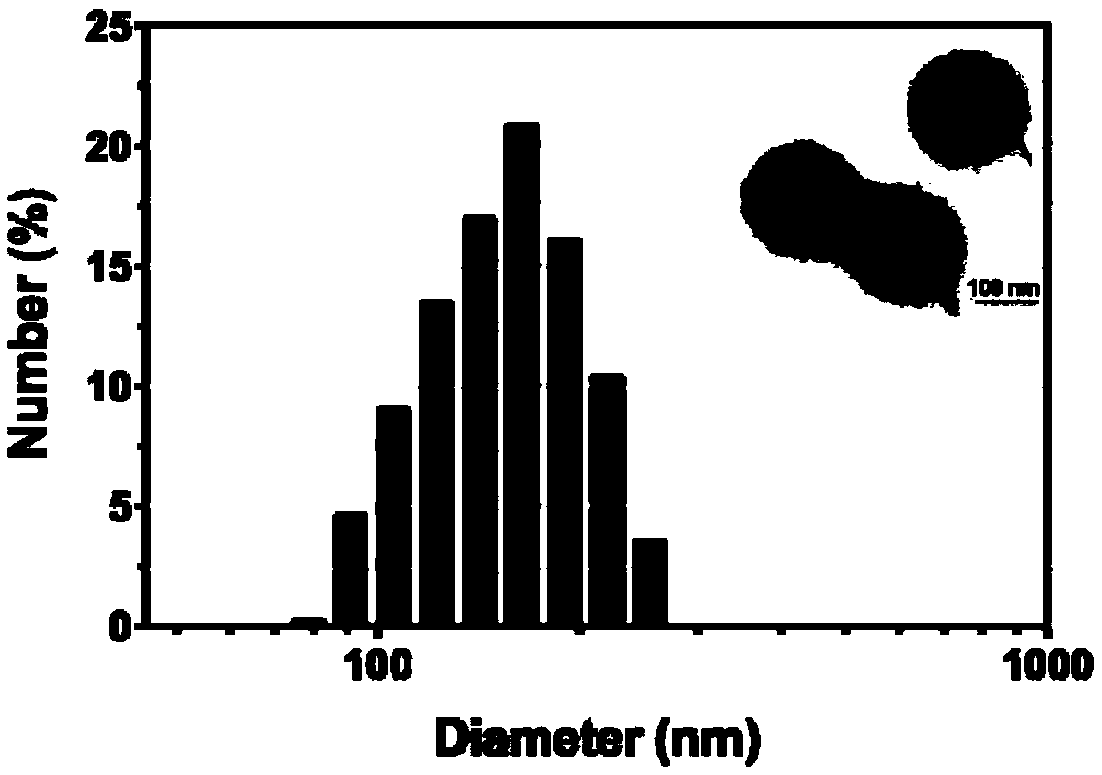 A lysosome-targeted pH-sensitive nanoparticle and a preparation method and application thereof