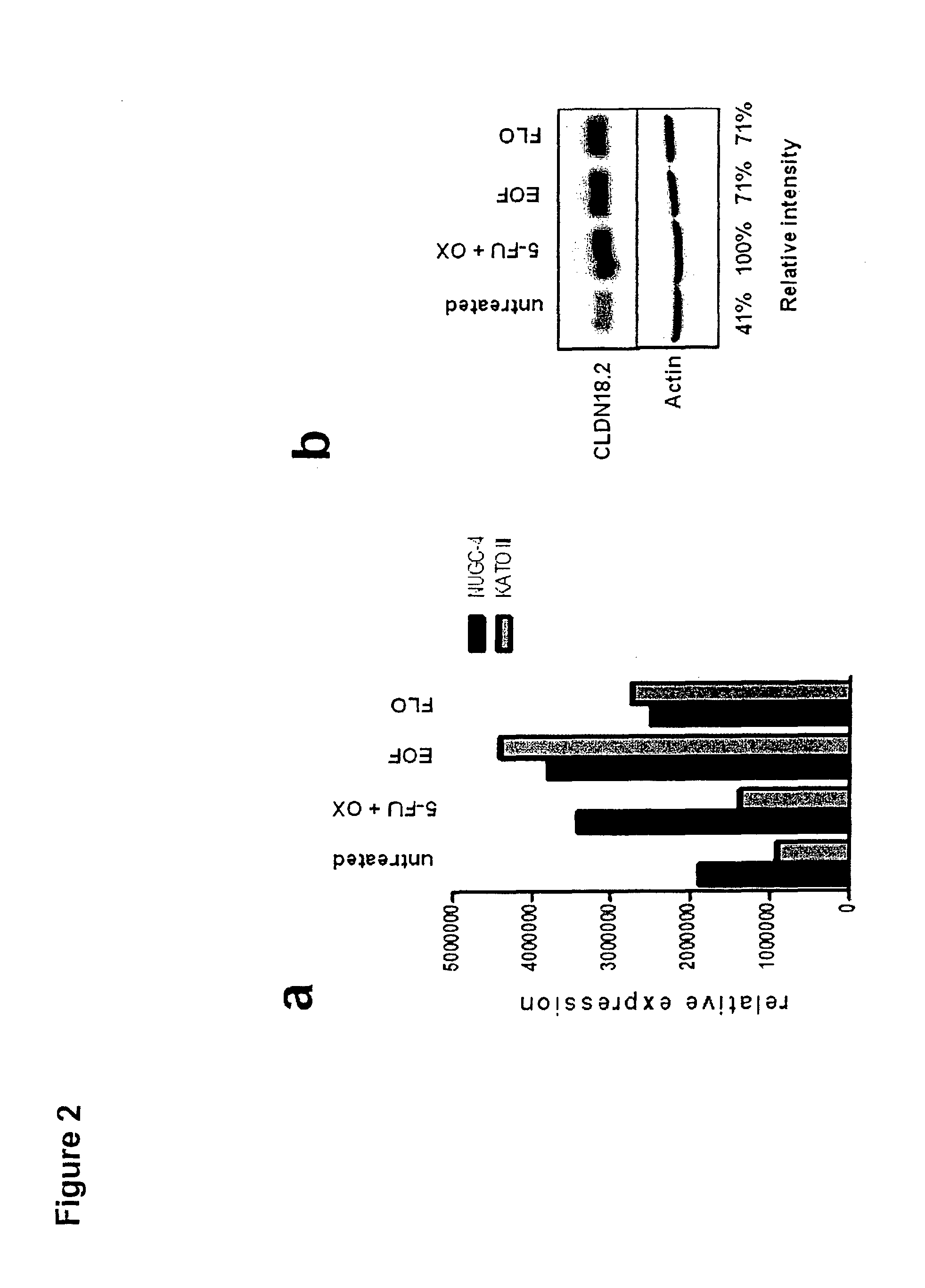 Combination therapy involving antibodies against claudin 18.2 for treatment of cancer