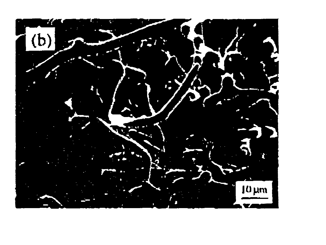 Feathery copper fiber body, process for production thereof, and copper microcoil