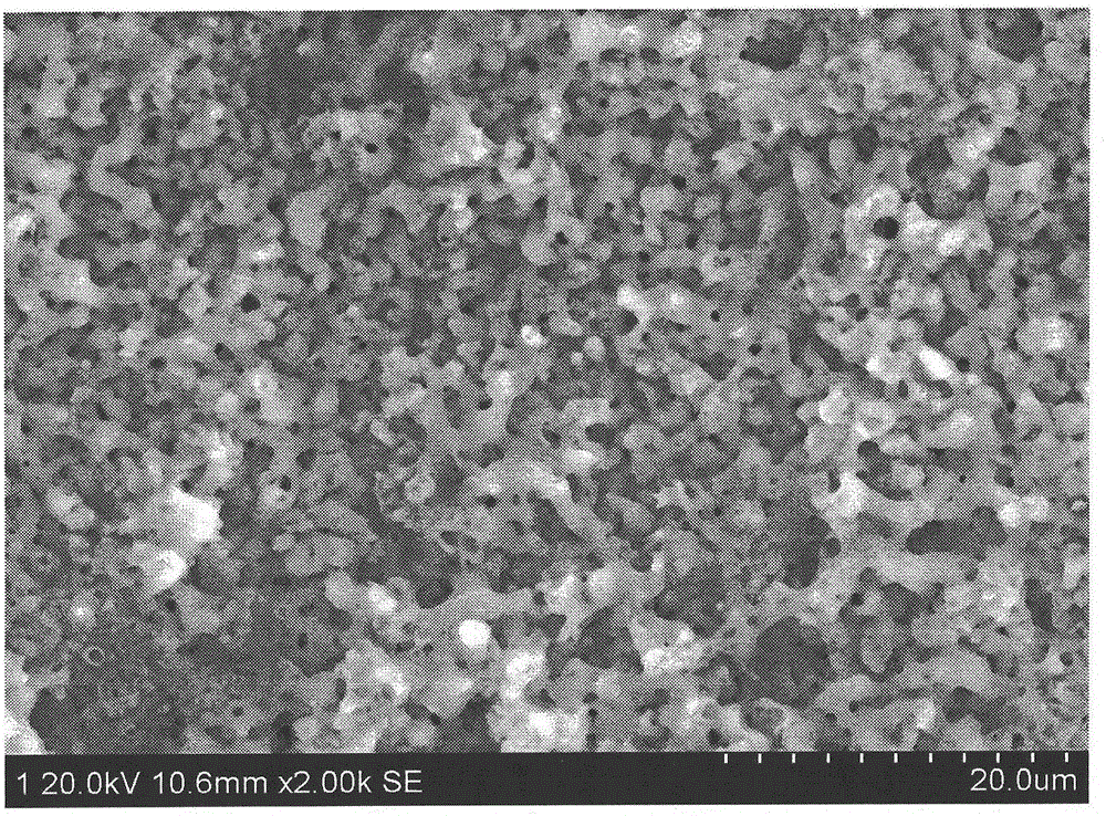 Preparing method for high-strength and large-specific-surface-area titanium black coating