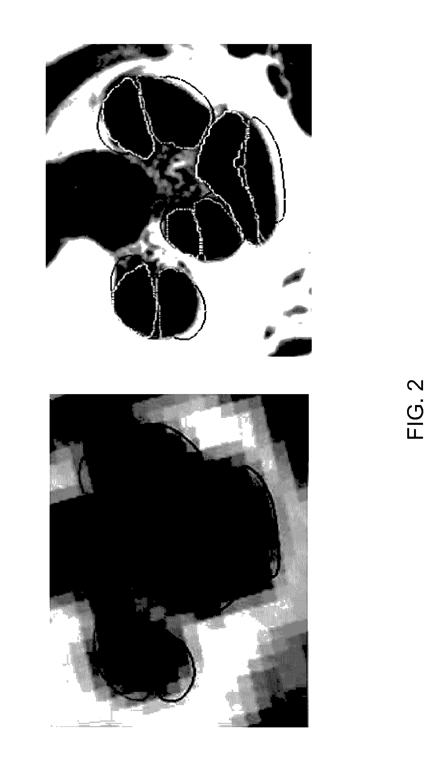 Methods and systems for customizing cochlear implant stimulation and applications of same