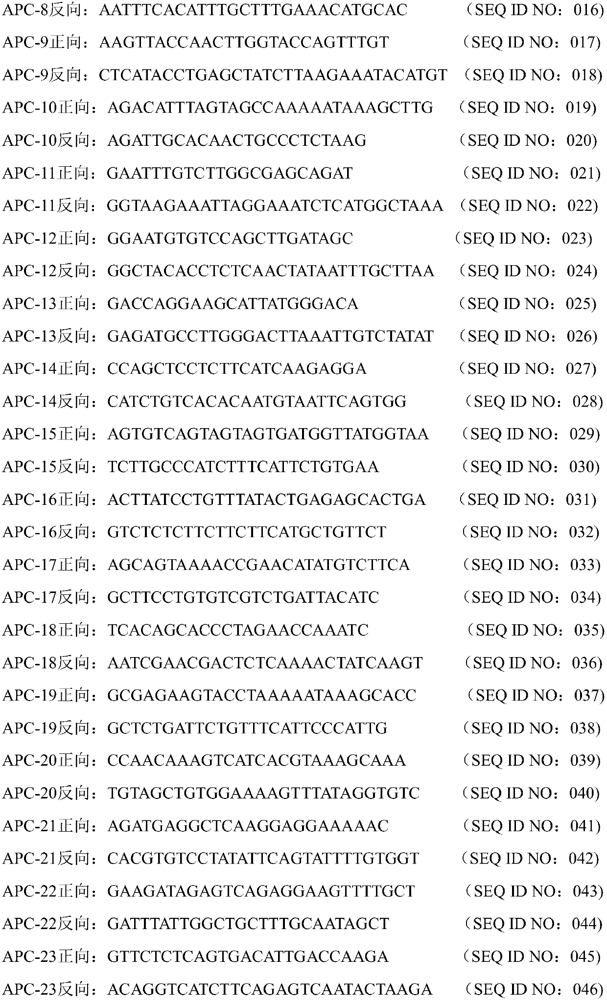 Colorectal cancer early screening primer group based on four genes and kit