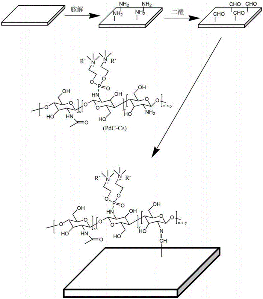 Polyester material with antibacterial and biocompatible surface and preparing method and application thereof