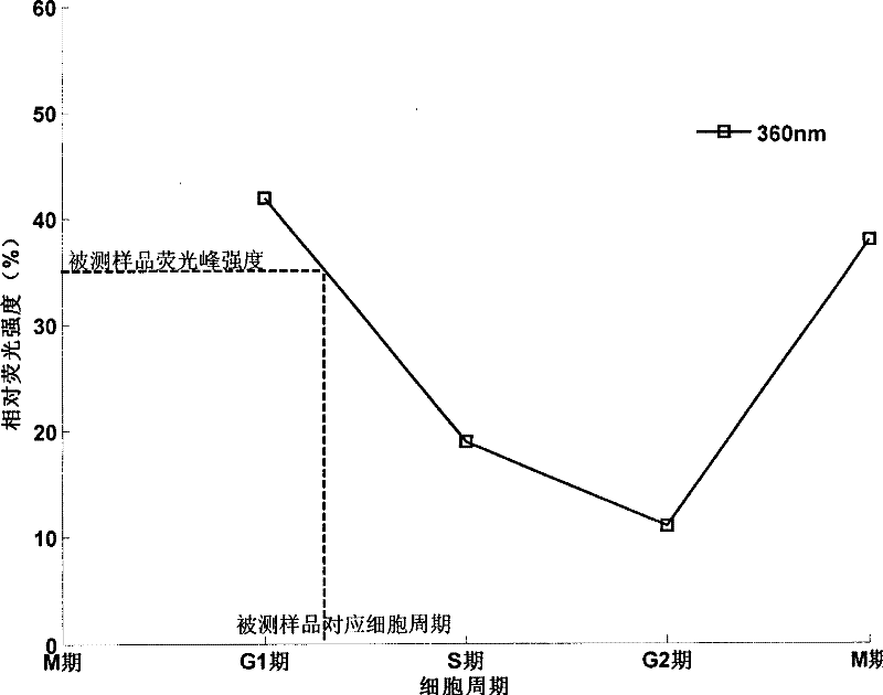 Method for Measuring Cell Cycle Using Cell Autofluorescence Spectroscopy