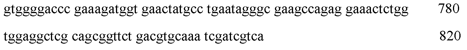 Aspergillus niger strain and application thereof