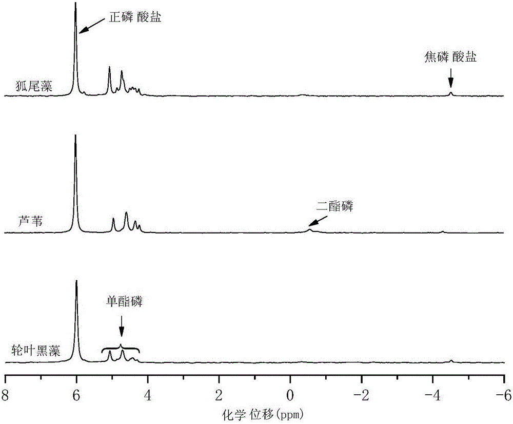 Extraction and composition analysis method for organic phosphorus in lake aquatic plants