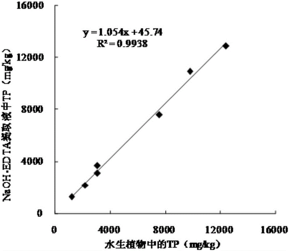 Extraction and composition analysis method for organic phosphorus in lake aquatic plants