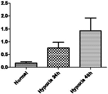 Application of Immortalized Human Lung Microvascular Endothelial Cell Compound Cytokines in the Preparation of Biological Preparations for Tissue Ischemia Damage Repair