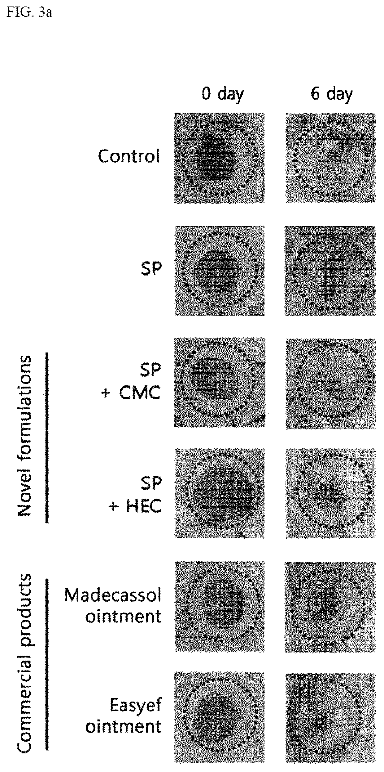 Method of treating a wound, comprising the step of administering a composition including a substance P