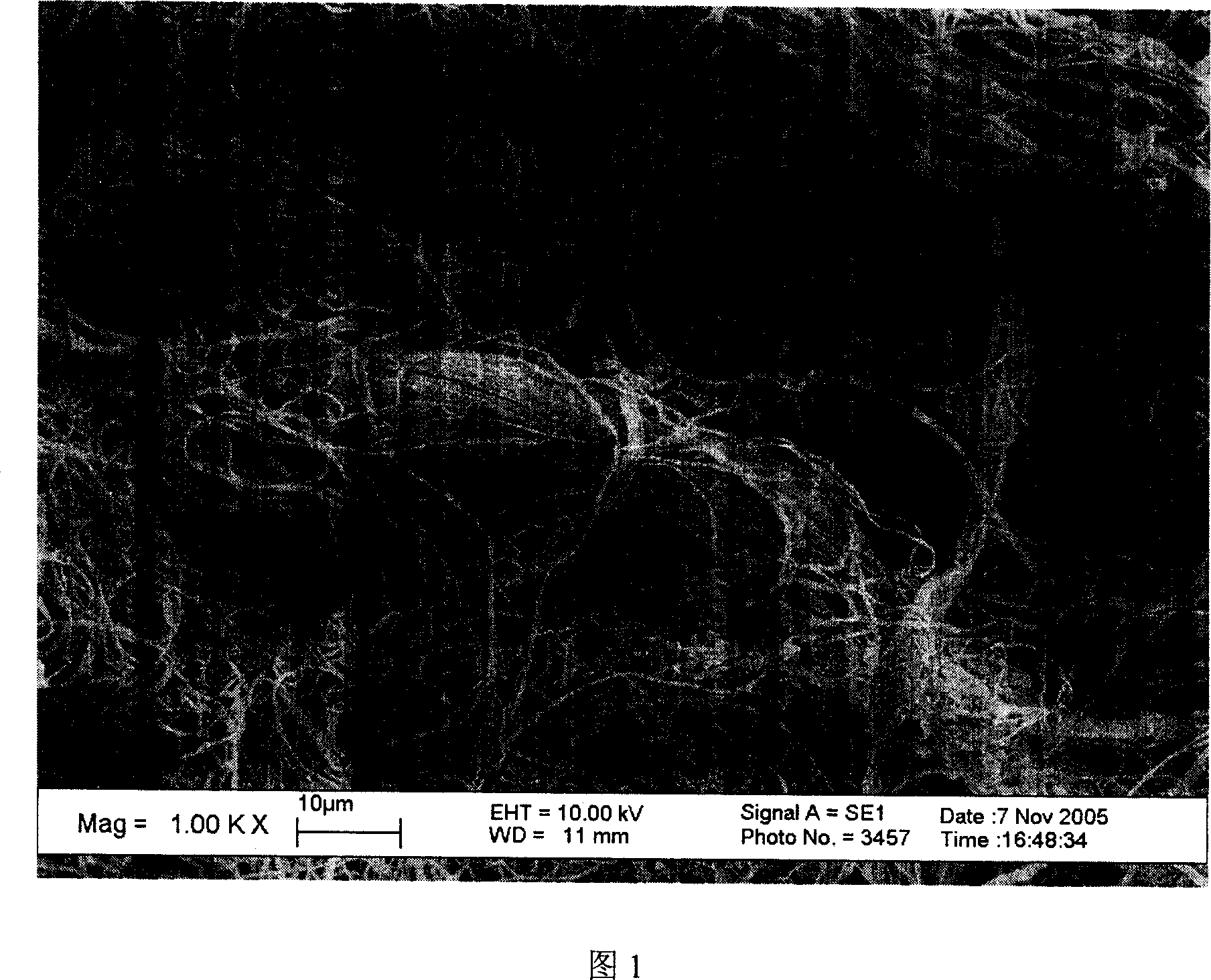 Method of manufacturing fire-resistant high-performance organic pulp-shape fibre