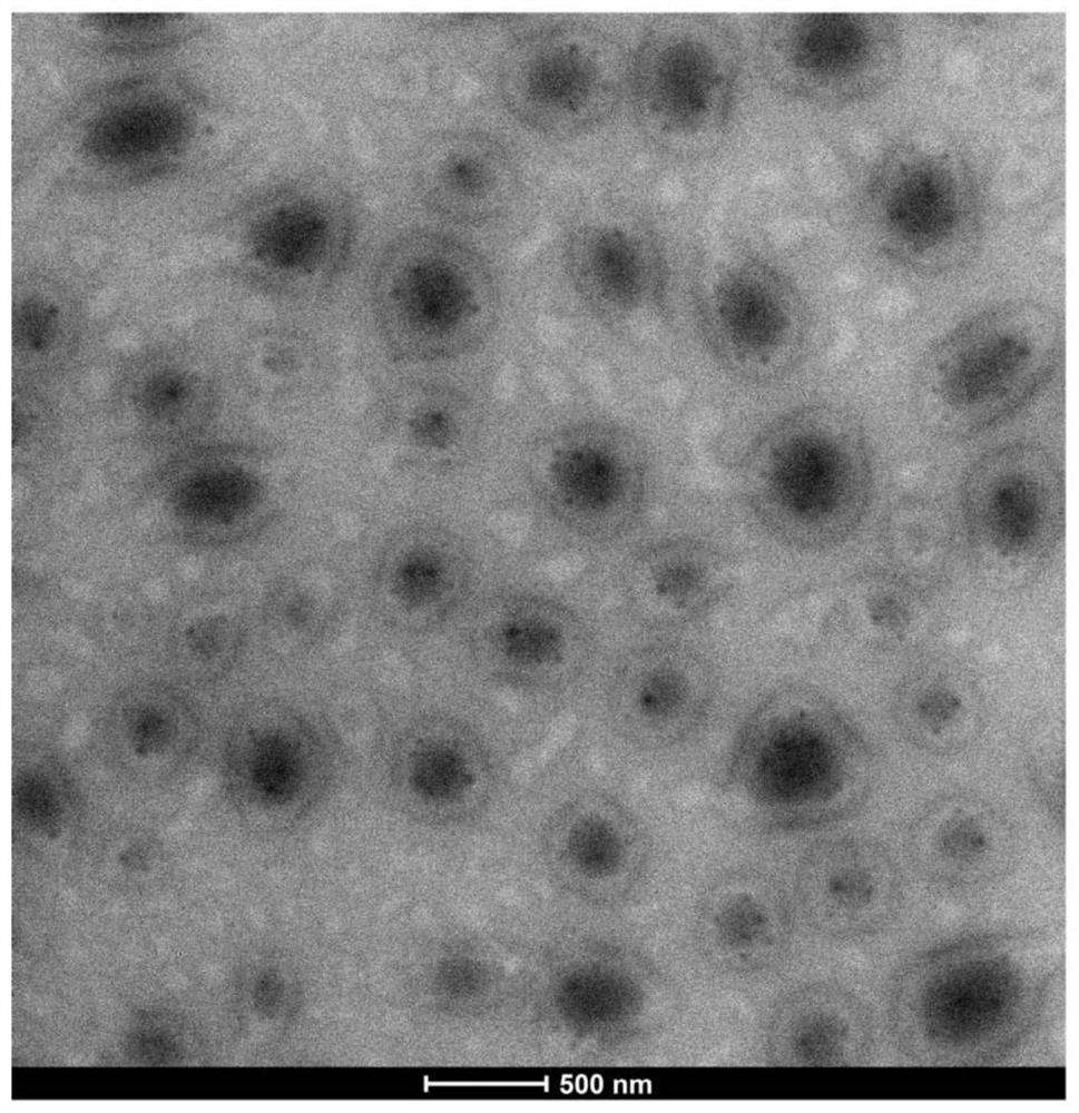 Temperature-sensitive controlled-release nano pesticide vesicle as well as preparation method and application thereof