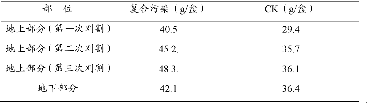 Application of Trifolium repens in remediation of heavy metal contaminated soil