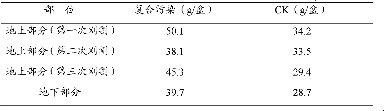 Application of Trifolium repens in remediation of heavy metal contaminated soil