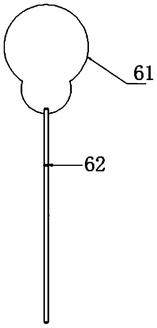 High-throughput detection device and method for rapid analysis of Raman spectrum