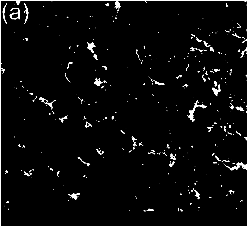 Fast directional biodegradation hemostatic clamp and preparation method thereof