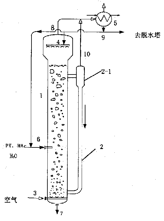 Air lift externally circulating bubble fower oxidation unit for producing terephthalic acid