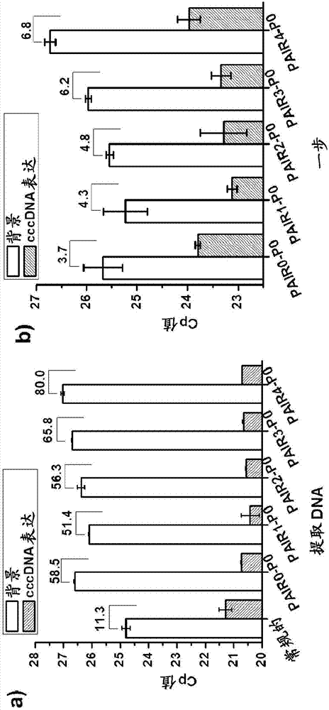 A novel high-throughput method for quantification of HBV cccDNA from cell lysate by real-time PCR