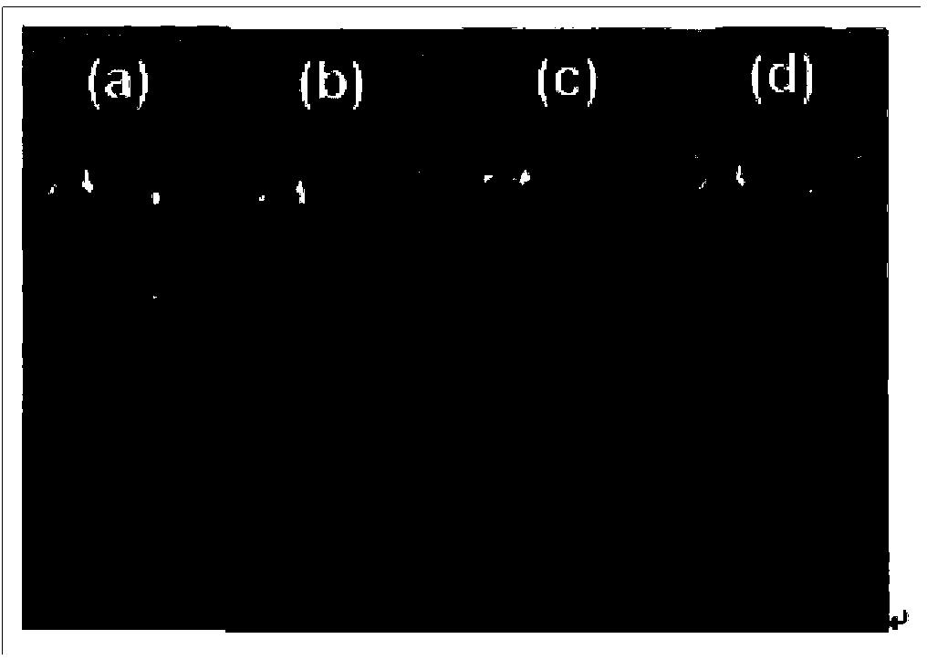 Preparation method for functionalized graphene loaded noble metal nano-crystalline composite catalyst