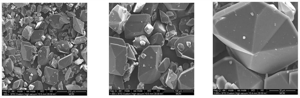 In-situ analysis method of HNIW crystal form crystal transformation rate in propellant powder