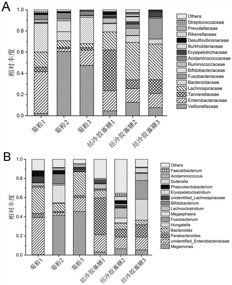 Gellan gum oligosaccharide and application thereof in prebiotics