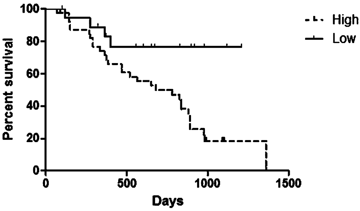 Application, kit and detection method for novel molecular marker non-coding RNA LINC00958 for lung cancer prognosis