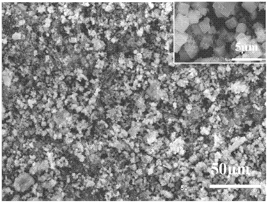 Pervaporation hybridigation composite film as well as preparation method and application thereof