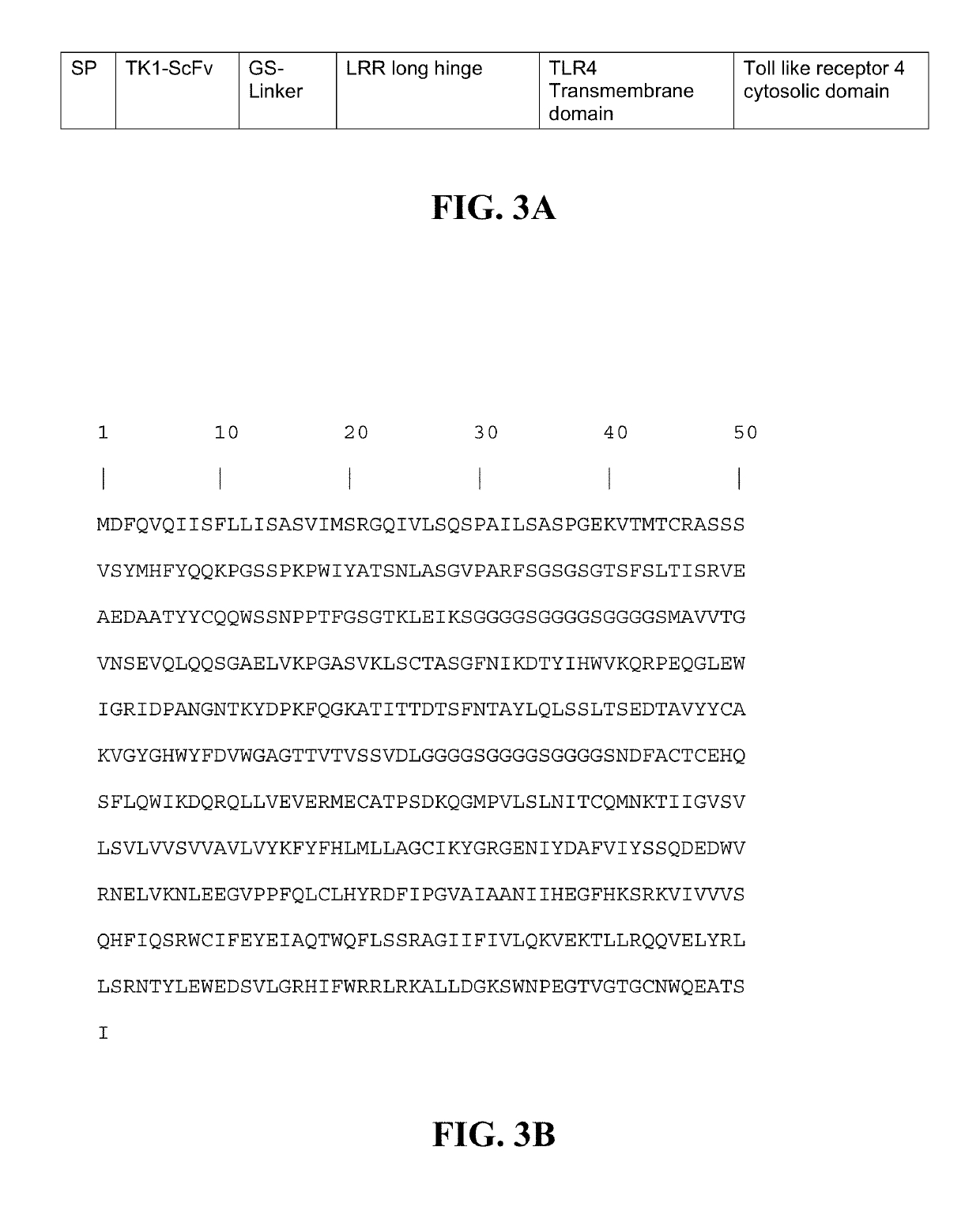 Transgenic macrophages, chimeric antigen receptors, and associated methods