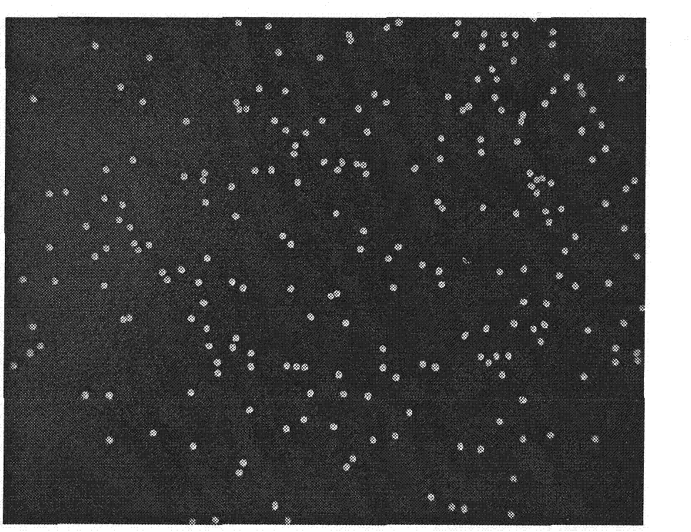 Capsule type microbial fertilizer and preparation method thereof