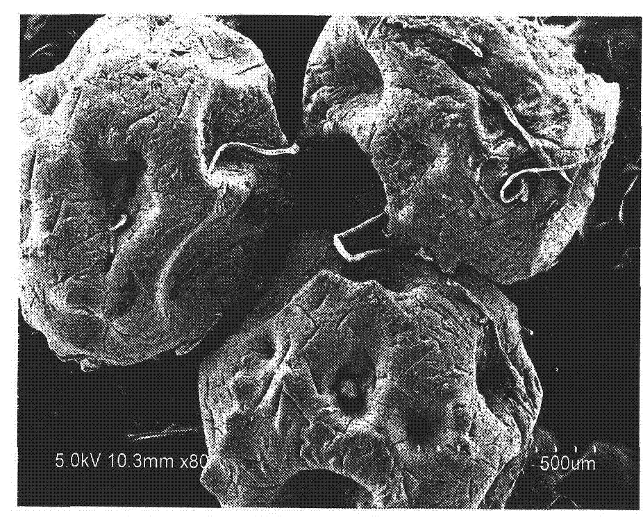 Capsule type microbial fertilizer and preparation method thereof