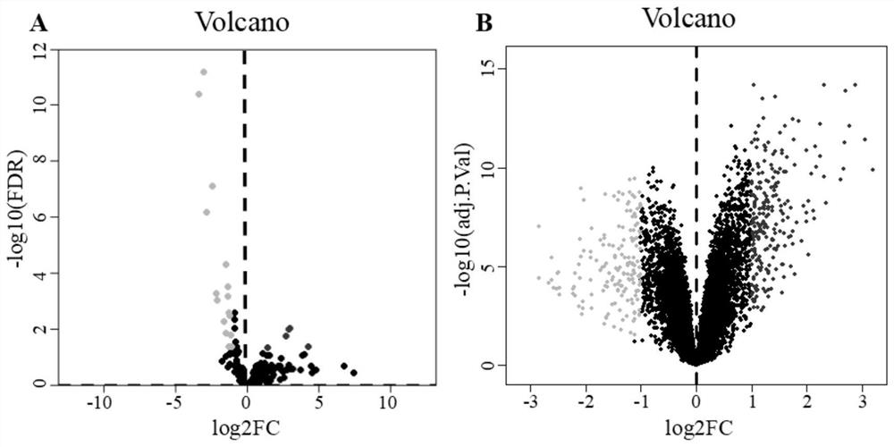 Method for establishing pancreatic cancer miRNA prognosis model and screening targeted gene