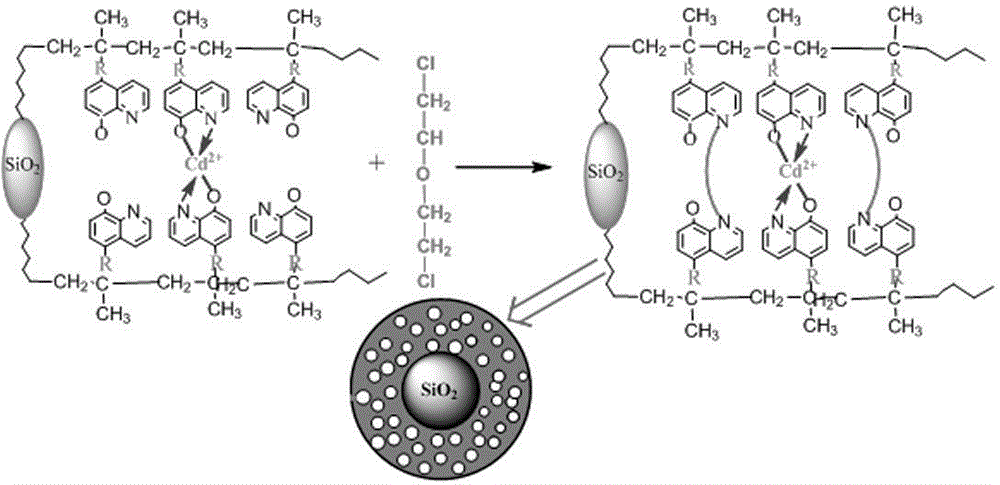 Preparation method of cadmium ion surface imprint adsorbing material