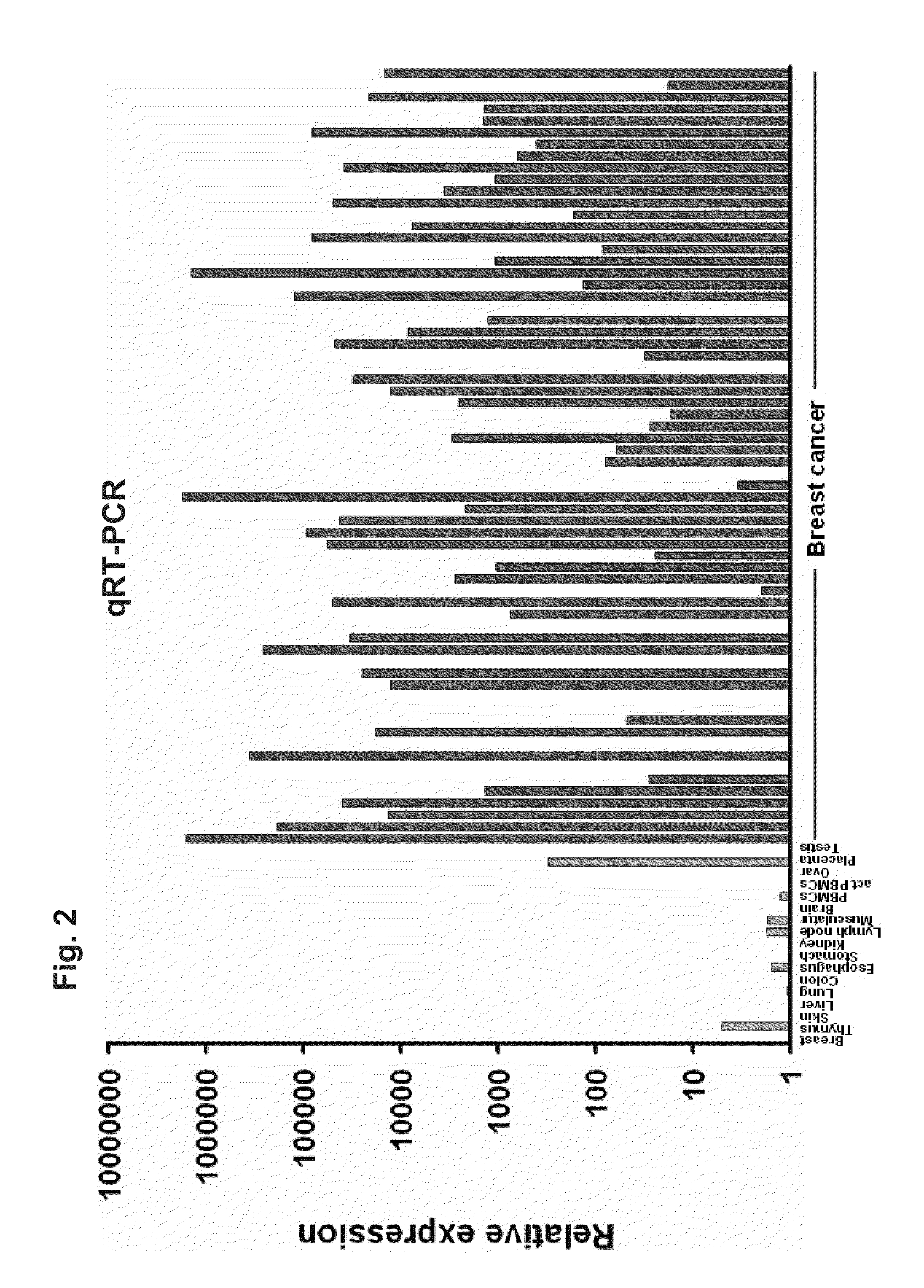 Identification of Tumor-Associated Markers for Diagnosis and Therapy