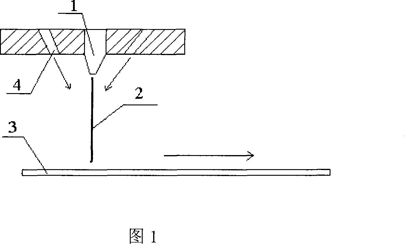 Method for preparing hot melt adhesive net film